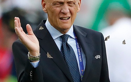HÀI HƯỚC: Cộng đồng mạng đổi lỗi cho Wenger khi bướm 'đánh chiếm' sân Stade de France